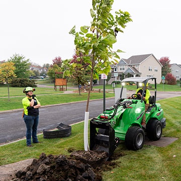 3 - ArborDay