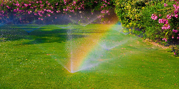 HowToManageWaterWisely (1)