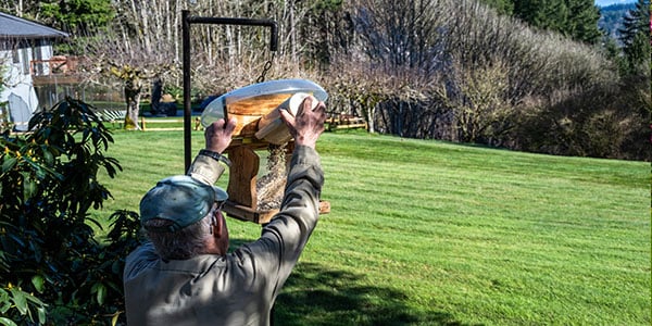 Filling a bird feeder