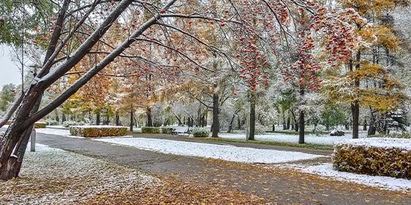 Changing Weather Patterns