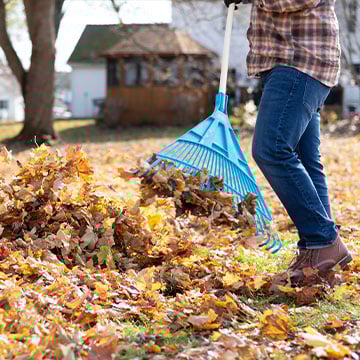 Raking leaves