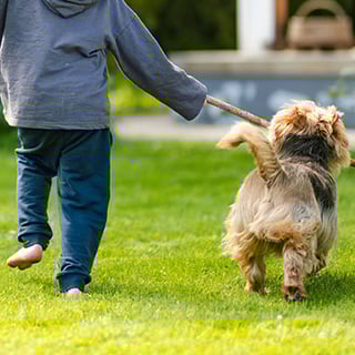 RTLP-Boy-Dog
