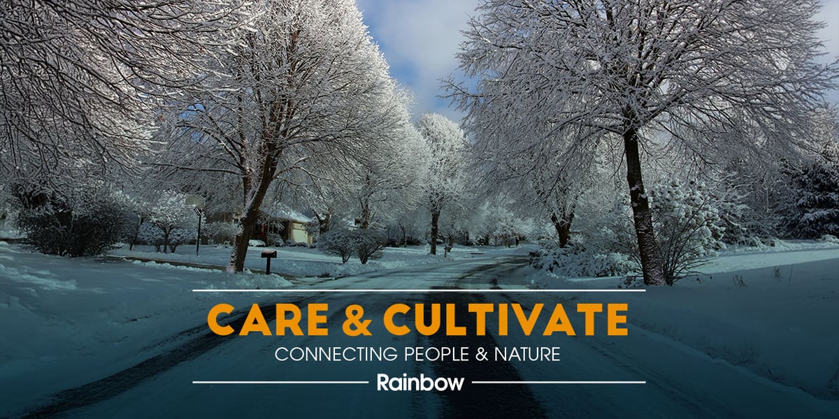 RTLP_Newsletter_BannerImage_01-2026