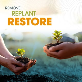 Remove, replat, restore