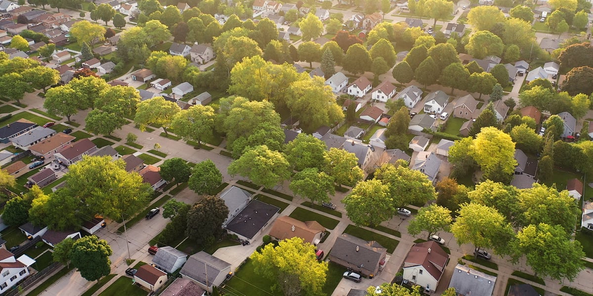 Neighborhood Trees