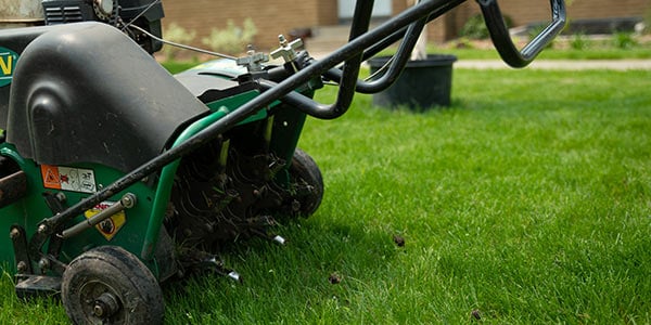Aeration & Overseeding