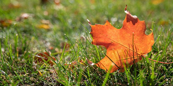 Your Fall Property Checklist